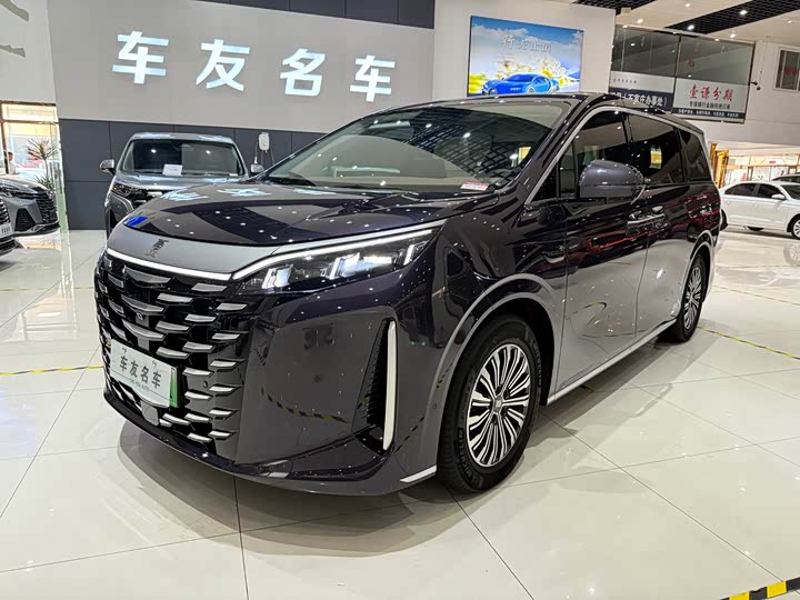 2025 BYD Xia