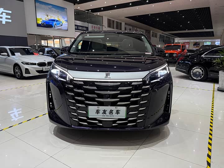 2025 BYD Xia