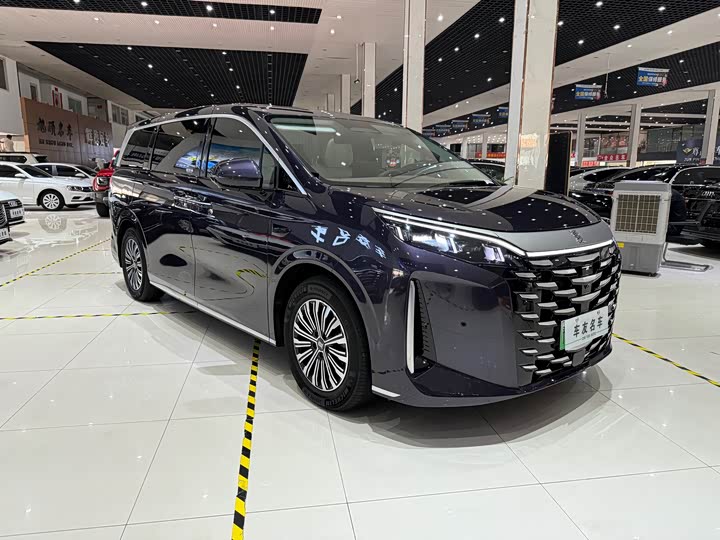 2025 BYD Xia