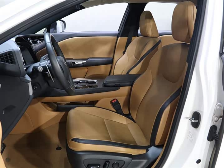 Lexus RZ 2023 2023款 450e 四驱纵享版