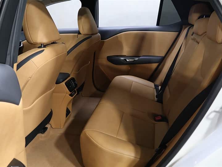 Lexus RZ 2023 2023款 450e 四驱纵享版