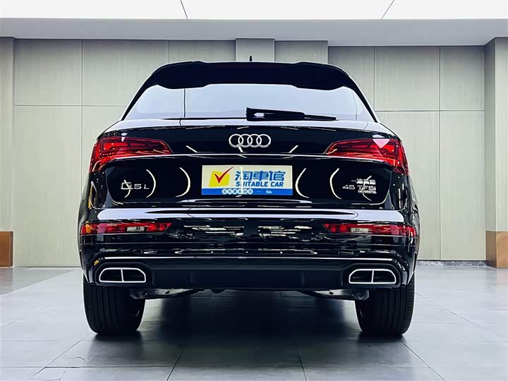 Audi Q5L 2025 2025款 45周年典藏版 45 TFSI 豪华动感型