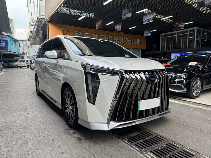 GAC Trumpchi E9 2024 2024款 E9 尊享版