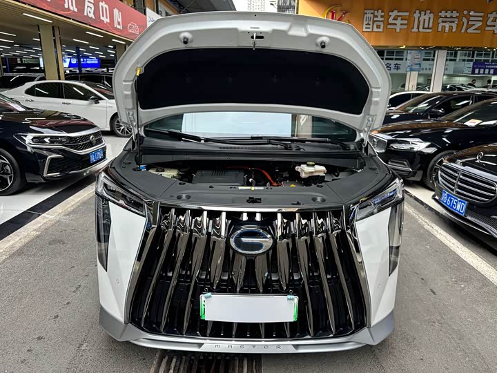 GAC Trumpchi E9 2024 2024款 E9 尊享版