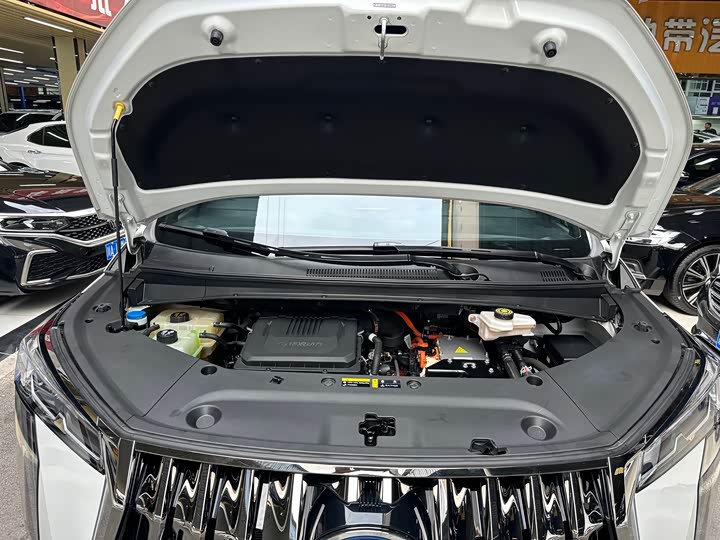 GAC Trumpchi E9 2024 2024款 E9 尊享版