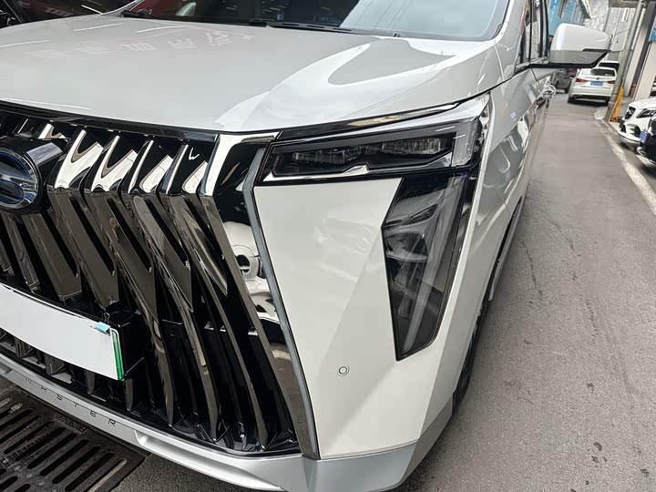 GAC Trumpchi E9 2024 2024款 E9 尊享版