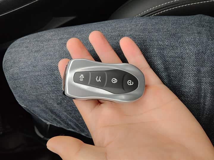 Geely Tugella 2020 2020款 高能版 350T 耀星者