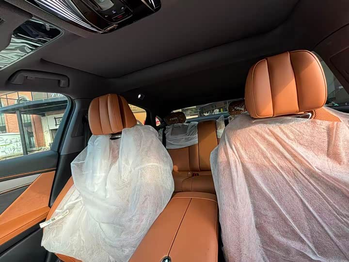 Voyah Passion 2024 2024款 PHEV 四驱超长续航行政版