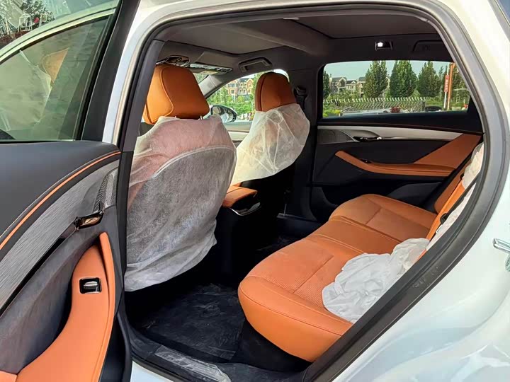 Voyah Passion 2024 2024款 PHEV 四驱超长续航行政版