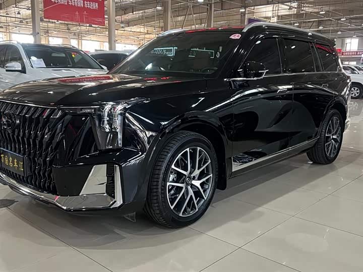 GAC Trumpchi GS8 2024 2024款 双擎系列 2.0TM 两驱尊贵版