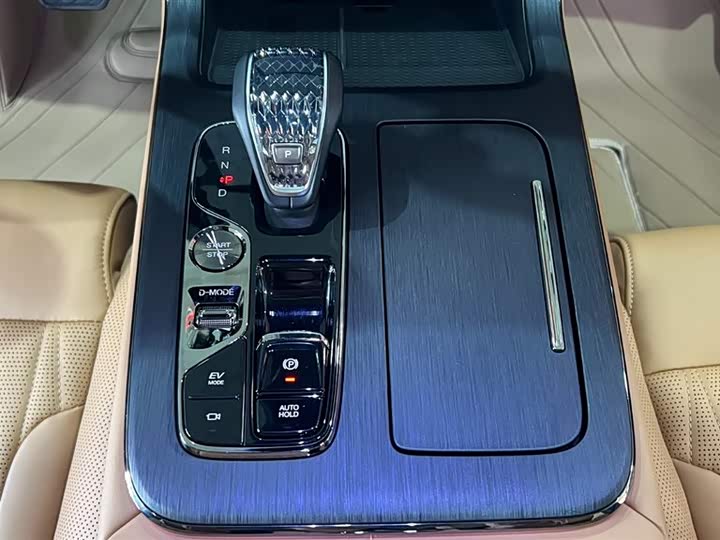 GAC Trumpchi GS8 2024 2024款 双擎系列 2.0TM 两驱尊贵版