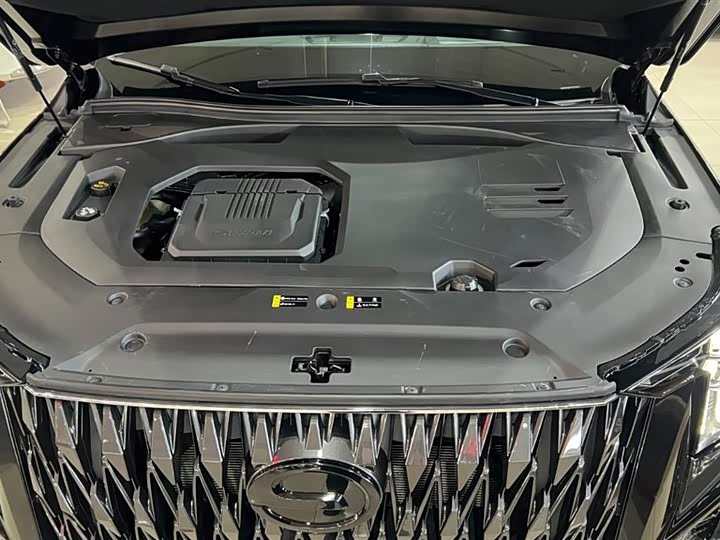 GAC Trumpchi GS8 2024 2024款 双擎系列 2.0TM 两驱尊贵版