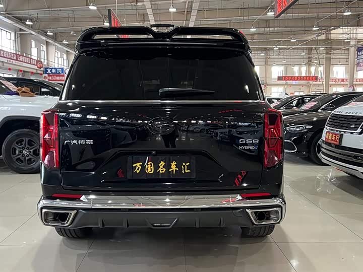 GAC Trumpchi GS8 2024 2024款 双擎系列 2.0TM 两驱尊贵版