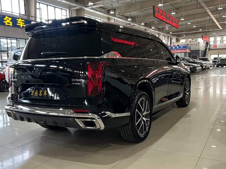 GAC Trumpchi GS8 2024 2024款 双擎系列 2.0TM 两驱尊贵版