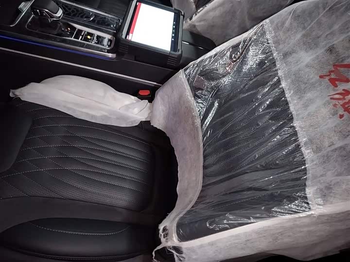 Hongqi HS5 2023 2023款 2.0T 四驱旗享Pro版