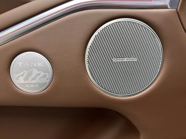 Tank 700 Hybrid 2024 2024款 Hi4-T 极境版