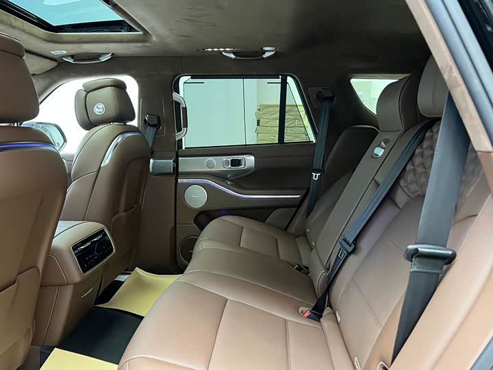 Tank 700 Hybrid 2024 2024款 Hi4-T 极境版