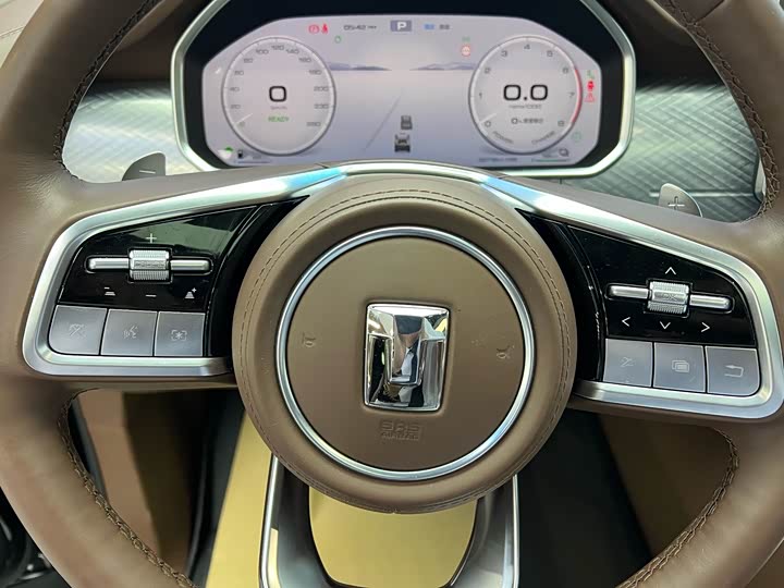 Tank 700 Hybrid 2024 2024款 Hi4-T 极境版