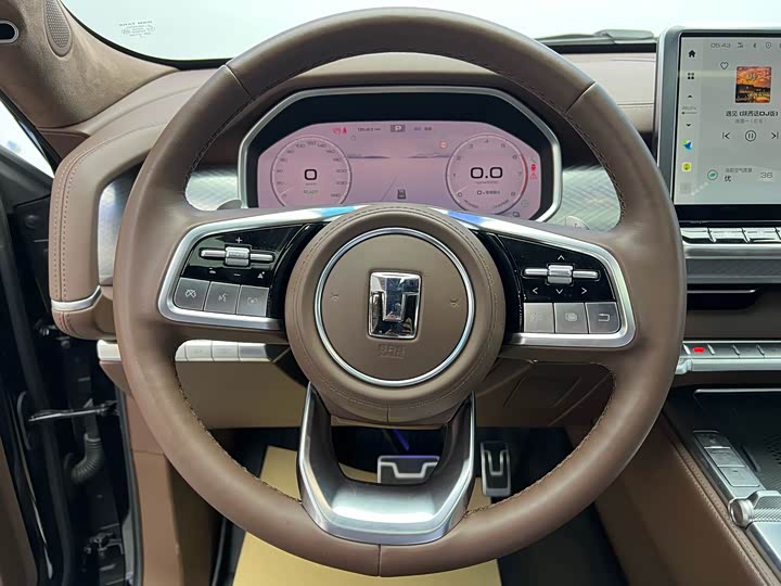 Tank 700 Hybrid 2024 2024款 Hi4-T 极境版