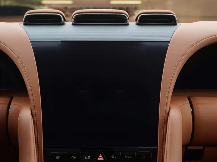 BYD Yangwang U8 2023 2023款 豪华版