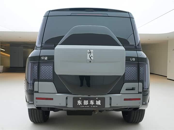 BYD Yangwang U8 2023 2023款 豪华版