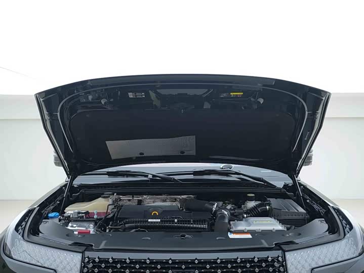 BYD Yangwang U8 2023 2023款 豪华版