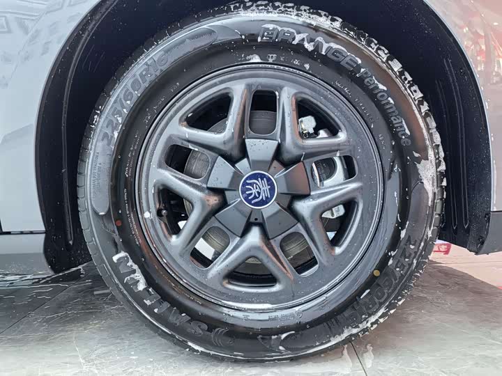 BYD Qin Plus 2025 2025款 DM-i 智驾版 55KM领先型