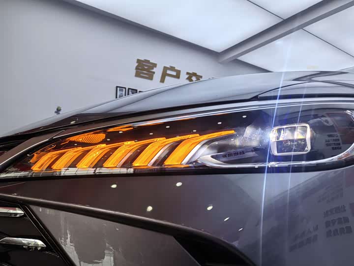 BYD Qin Plus 2025 2025款 DM-i 智驾版 55KM领先型