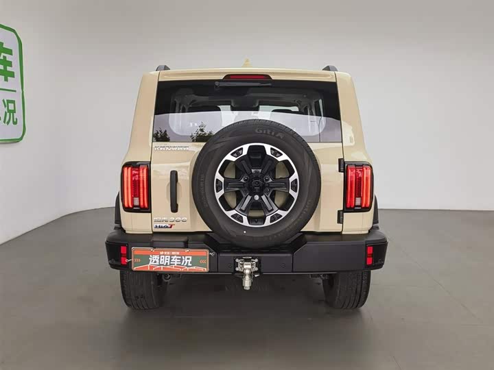 Tank 300 Hybrid 2025 2025款 Hi4-T 37.1kWh