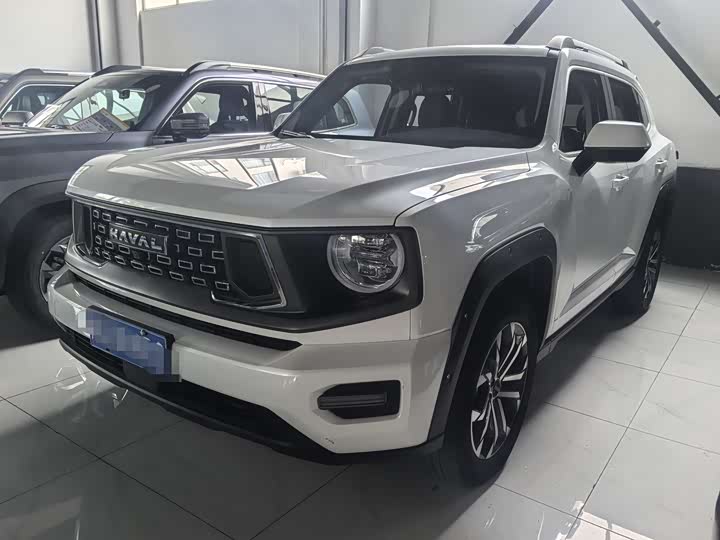 Haval H-Dog 2023 2023款 2.0T 两驱潮野版Plus