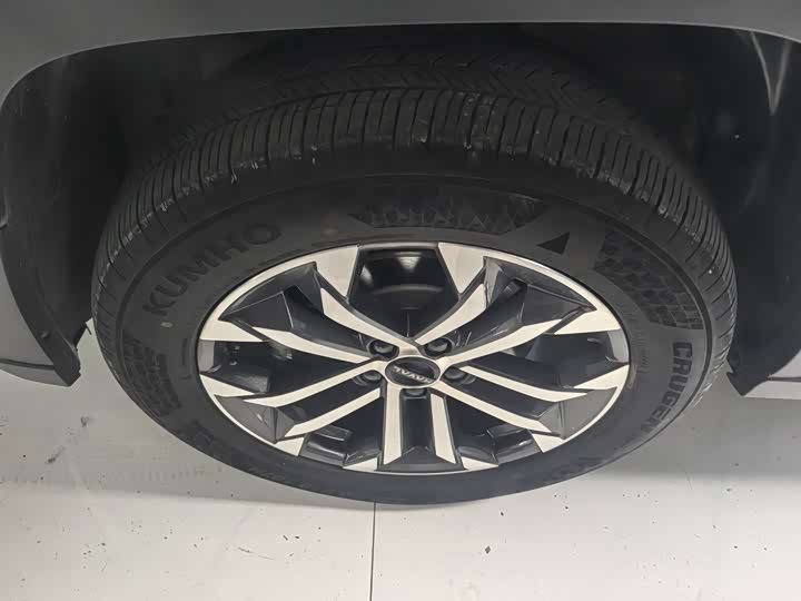 Haval H-Dog 2023 2023款 2.0T 两驱潮野版Plus