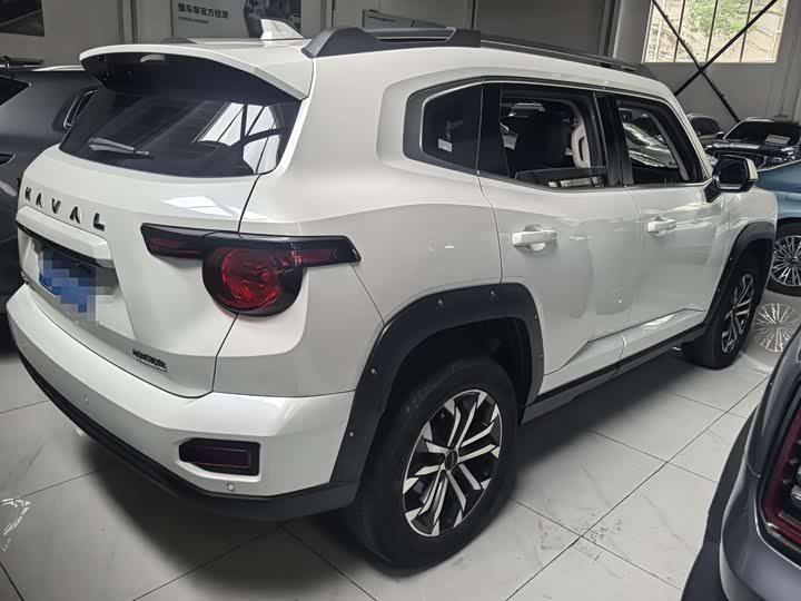 Haval H-Dog 2023 2023款 2.0T 两驱潮野版Plus