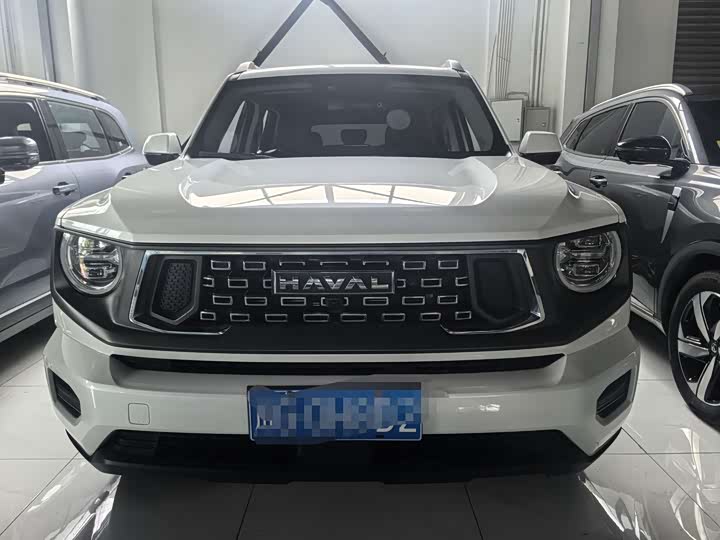 Haval H-Dog 2023 2023款 2.0T 两驱潮野版Plus