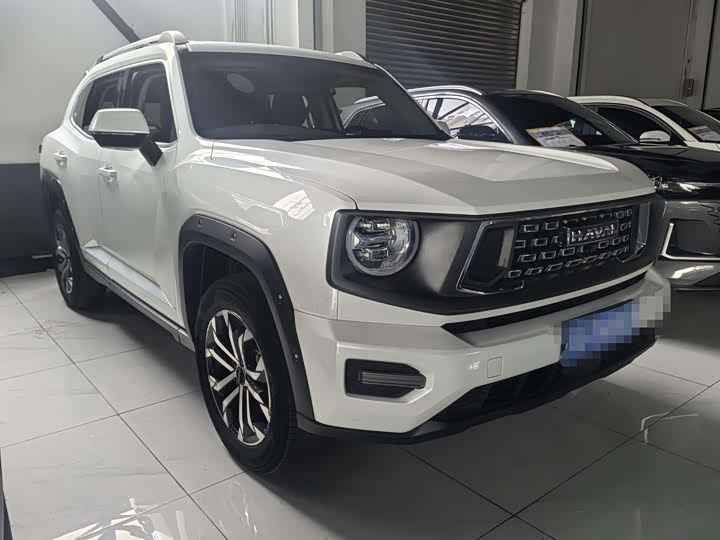 Haval H-Dog 2023 2023款 2.0T 两驱潮野版Plus