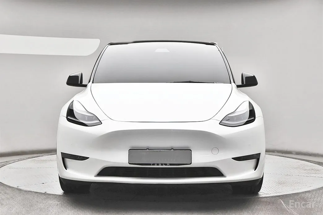 Tesla Model Y 2020 Performance