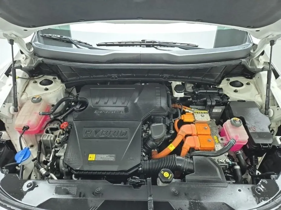 Kia Niro 2022 Trendy