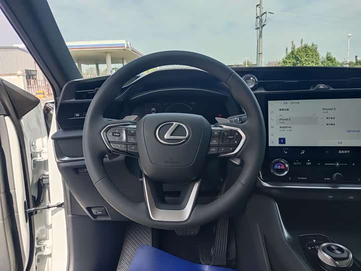 Lexus RZ 2023 2023款 450e 四驱纵享版