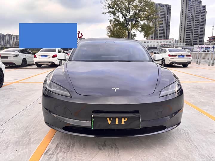 Tesla Model 3 2023 2023款 后轮驱动版