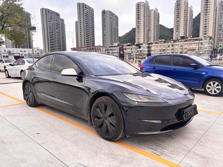 Tesla Model 3 2023 2023款 后轮驱动版