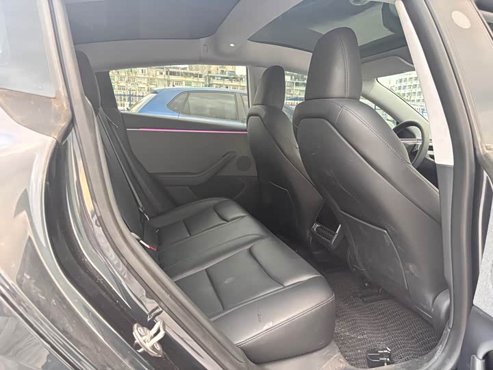 Tesla Model 3 2023 2023款 后轮驱动版