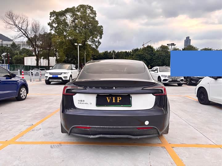 Tesla Model 3 2023 2023款 后轮驱动版