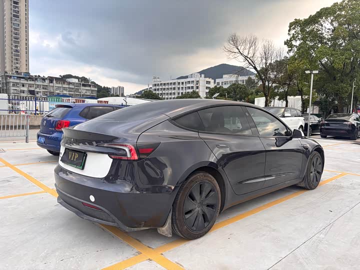 Tesla Model 3 2023 2023款 后轮驱动版