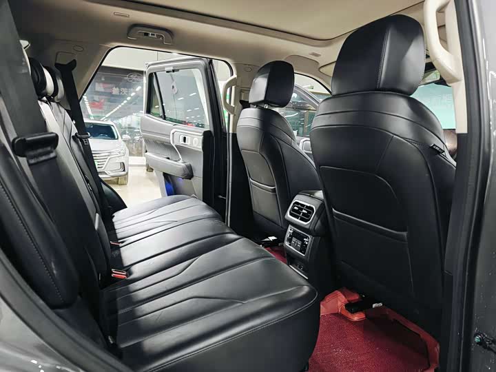 Tank 400 Hybrid 2024 2024款 Hi4-T 越野版