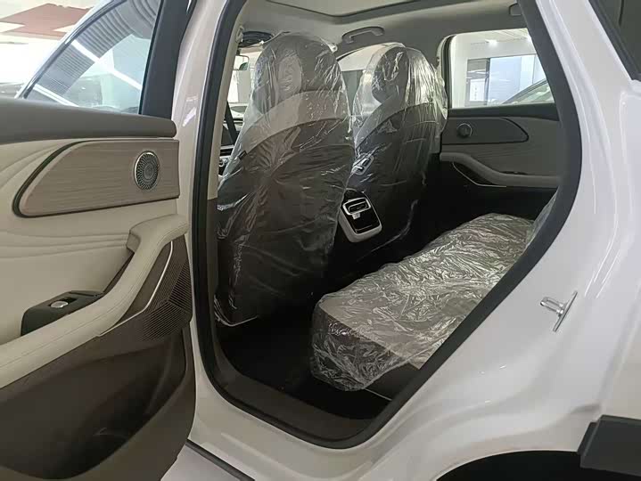 Exeed RX C-DM Hybrid 2024 2024款 1.5T 长续航Pro