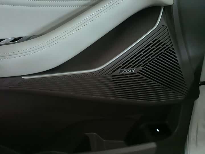 Exeed RX C-DM Hybrid 2024 2024款 1.5T 长续航Pro