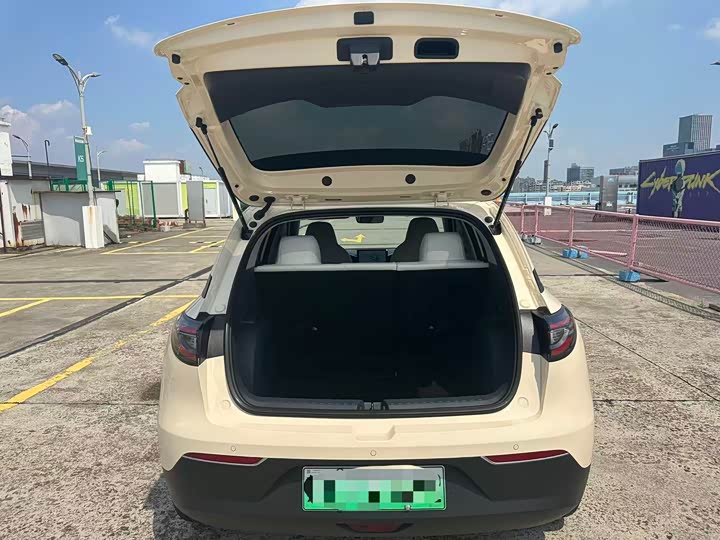 Geely Galaxy Geome 2025 2025款 310km 青春版