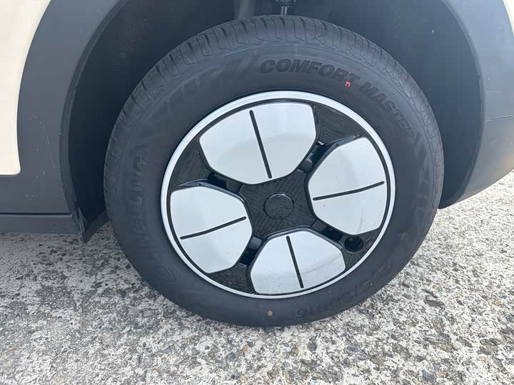 Geely Galaxy Geome 2025 2025款 310km 青春版