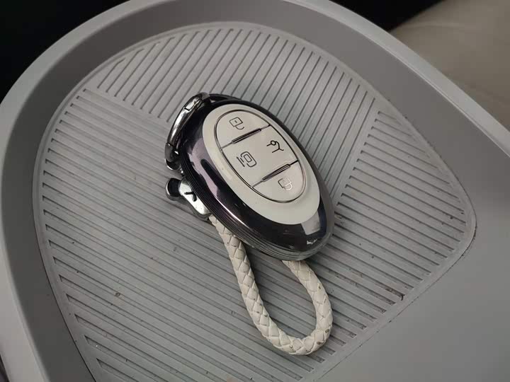 BAIC Arcfox Kaola 2023 2023款 家庭版Pro