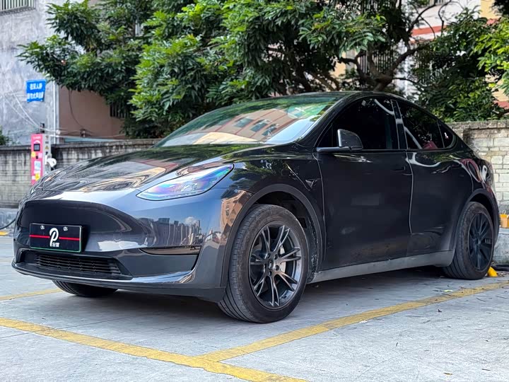 Tesla Model Y 2024 2024款 后轮驱动版