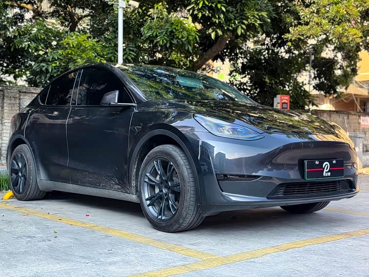 Tesla Model Y 2024 2024款 后轮驱动版